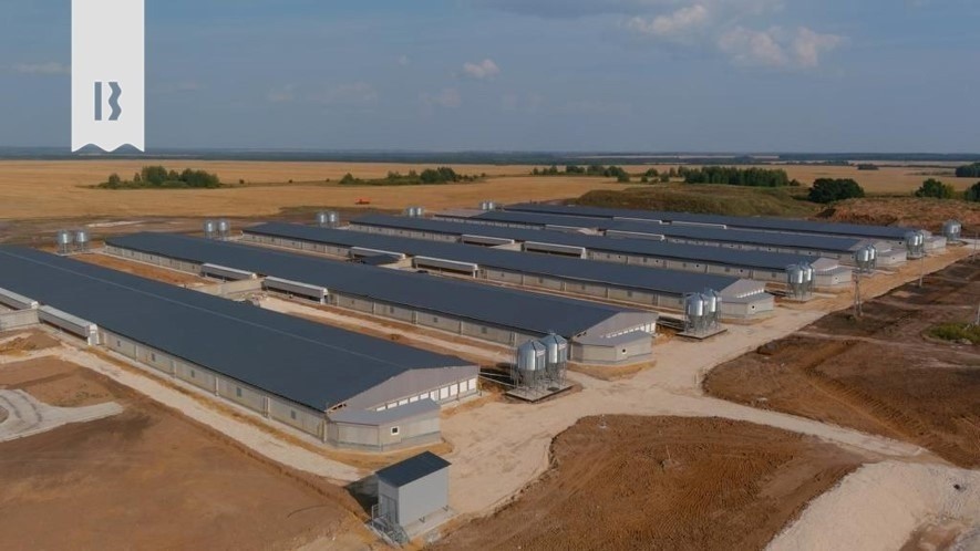 Применение хризотилцементной кровли для агрокомплексов