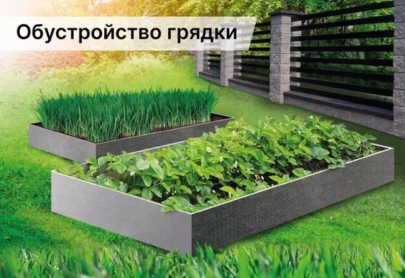 Обустройство грядки